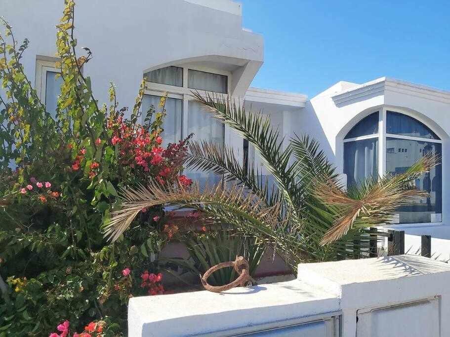 コラレホ Brisa Marina House By The Seaヴィラ エクステリア 写真